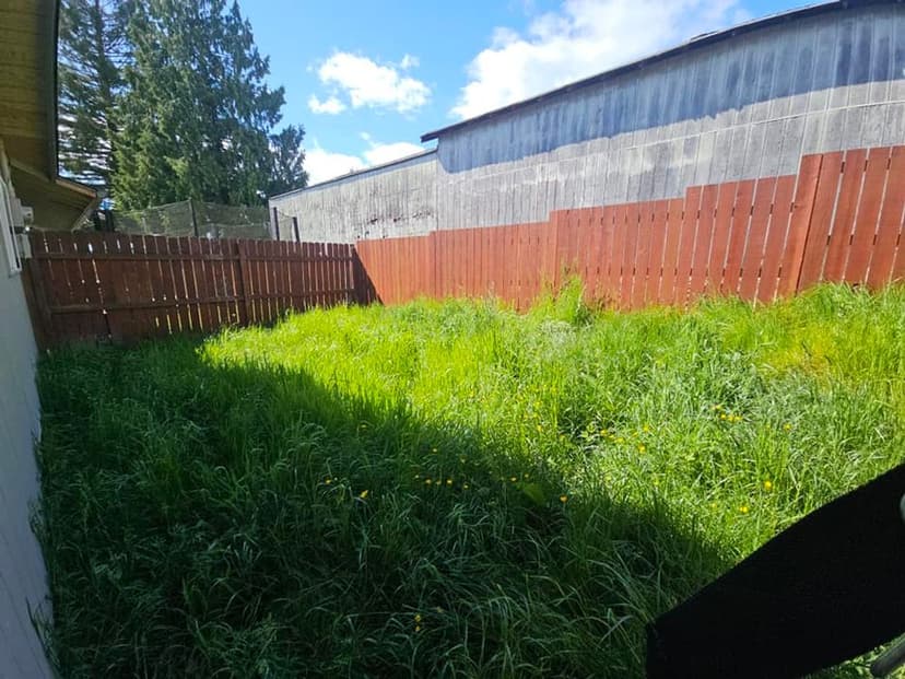 Best Landscaping Service Provider 2022's image