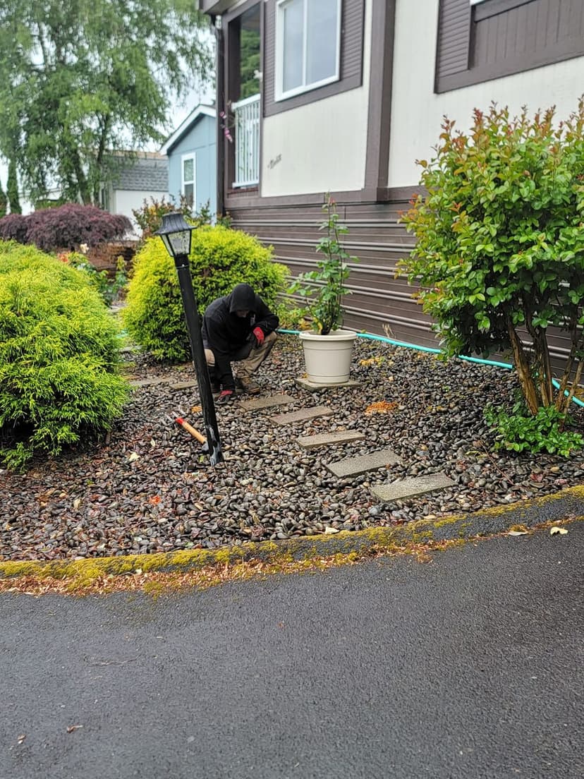 Eco-friendly Landscaping Excellence's image